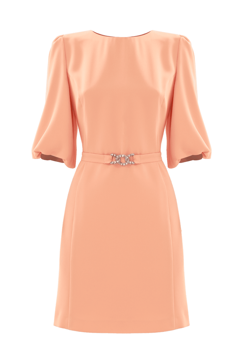 Balloon sleeve mini dress - Dress PETUNIA
